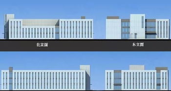 聚焦精品 鼎正咨询医疗建设工程项目深度盘点与价值洞察